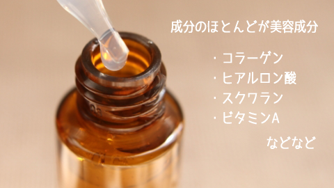 �X�L���r���z�b�g�N�����W���O,���e����